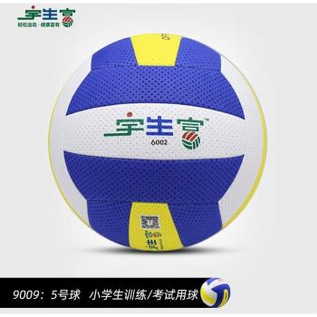 Hochwertiger Spielball 6001
