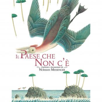 Il paese che non c'è. Ediz. a colori