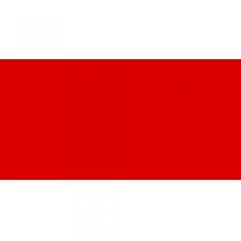 Amsterdam Expert Cadmium Red Light Acrylic Paint