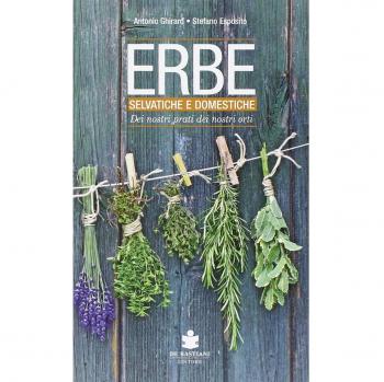 Erbe selvatiche e domestiche dei nostri prati dei nostri orti