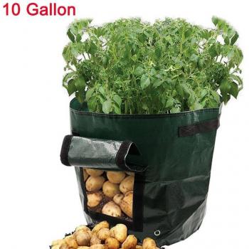 Blumentopf Tasche für Kartoffeln 5/7/10 Stck