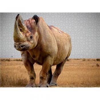 Bedrohtes Nashorn Puzzle 1000 Stück – Calvendo, Bild von Peter Roder