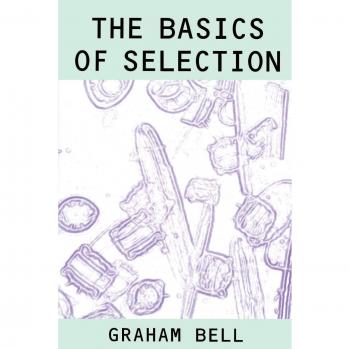 The Basics of Selection