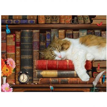 Eurographics Large Cat Nap Jigsaw Puzzle 500-Piece