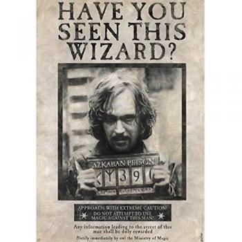 Harry Potter: Gesucht! – Sirius Black Poster
