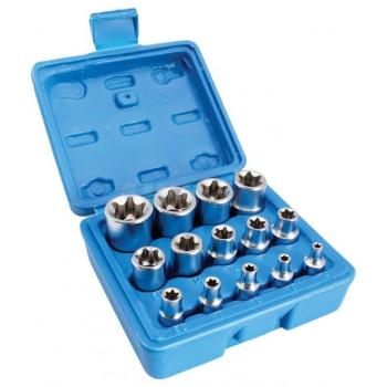 Juego Completo de Vasos Torx Hembras E4-E24