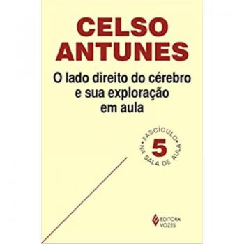 O lado direito do cerebro e sua exploração em aula
