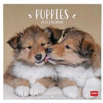 Calendario de Pared 2025 Puppies Legami