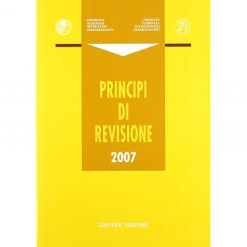 Principi di revisione 2007