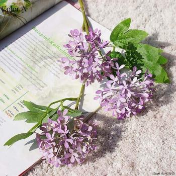 Fleurs en Soie Islandaise – Boules Éclatantes