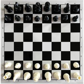 25cm Vintage Portable Chess Pieces