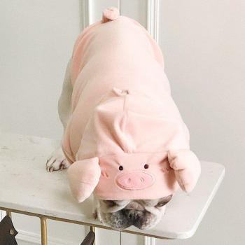 Sudadera Bulldog Francés en Terciopelo
