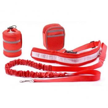 Accesorios de correa elástica para mascotas