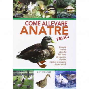 Come allevare anatre felici