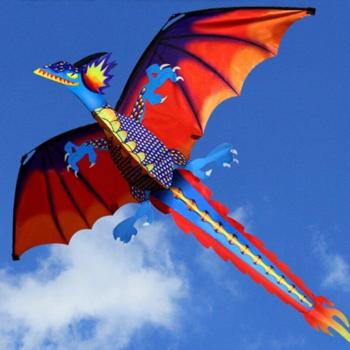 Adult 3D Dragon Kite with Tail