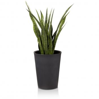 Anthrazit Matte Blumentopf TUBO – langlebig und wetterfest