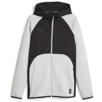 Puma Team Dime Hooded Sweatshirt Grey