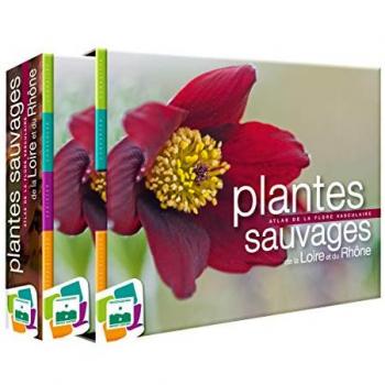 Plantes sauvages de la loire et du rhône