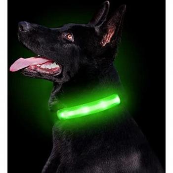 USB Rechargeable LED Dog Collar