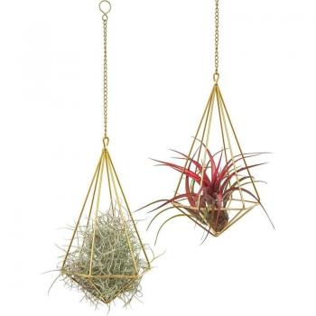 2 Pack Geometric Air Plant Holder with Chain