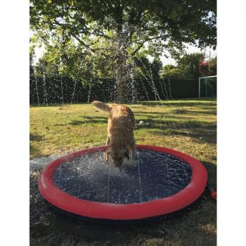 Piscina Canina Nobby 100 cm – Giochi Acquatici