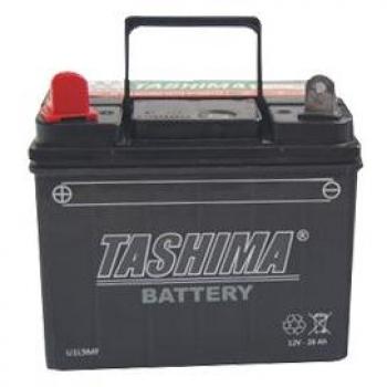 Batterie Tashima 12V 28A pour Tondeuse