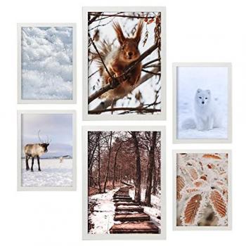 Láminas para Pared de Animales y Nieve