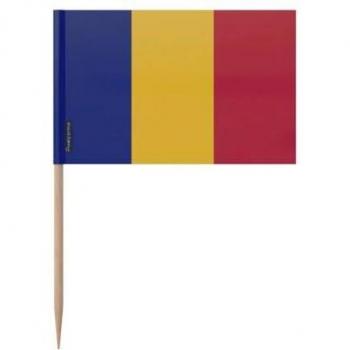 Cure‑Dents 8 cm Colorful Chad Flag Floss