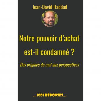 Notre pouvoir d'achat est-il condamné? Des origines du mal aux perspectives