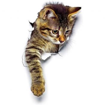 3D Animal Wall Decoration Sticker
