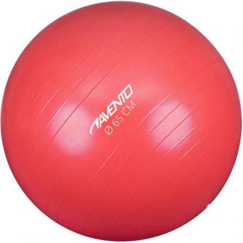 Avento 65 cm Pink Fitness Ball