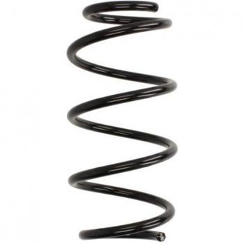 Perno di assorbimento shock SACHs 993/960