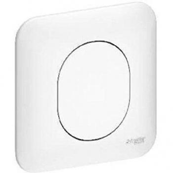 Obturateur Ovalis à griffes Schneider Electric