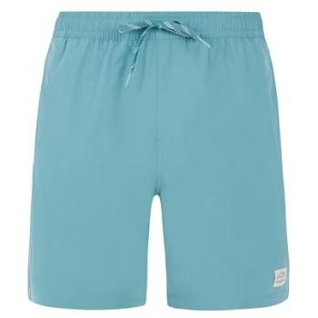 XL Arctic Green Swim Shorts by Protest Baky (Men)