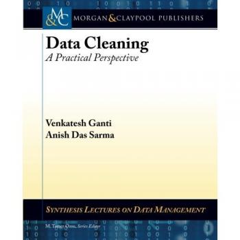 Data Cleaning: A Practical Perspective