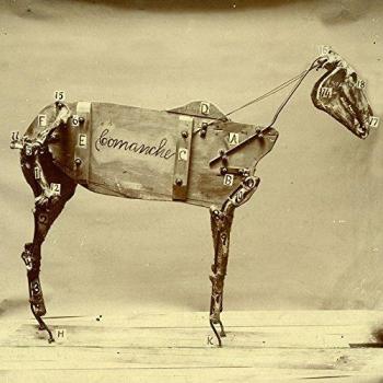 Lames du Cheval Comanche