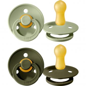 Bibs Silicone Nipple Set