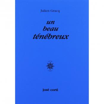 Beau ténébreux