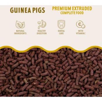 Rodiland Extruded Treats for Guinea Pigs 500g