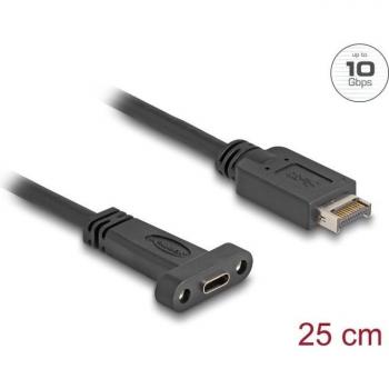 Delock Cavo USB 10 Gbps Tipo‑E – 20 pin, 25 cm