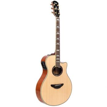 Yamaha APX-1000 Natural Wood Guitar