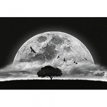 Panorama lunaire en papier peint