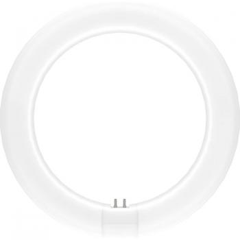 OSRAM LED (monocolore) ERP: E (A