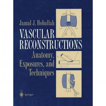Vascular Reconstructions: Anatomy, Exposures and Techniques