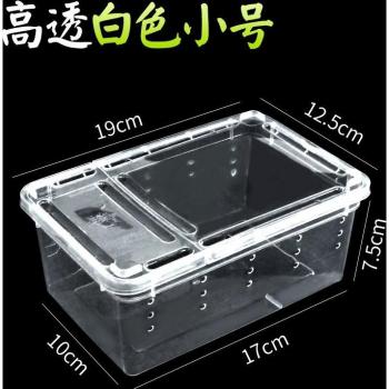 Frog Guard Habitat
