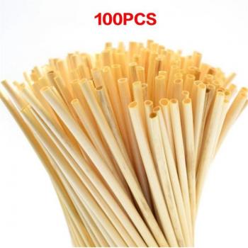 Pailles de blé biodégradables 20cm