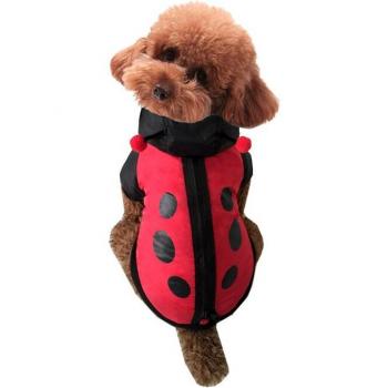 Chihuahua Fashion Cazadora Textil