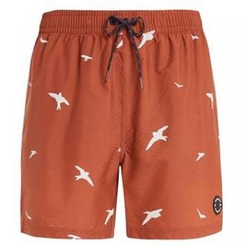 PROTEST Männer Beachshorts PRTZINZU – Mittelgrau – XS