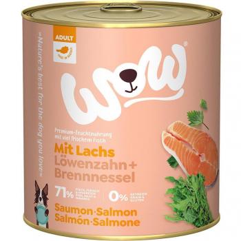 Kit 6 x 800 g WOW Adult Saumon Nourriture humide canine