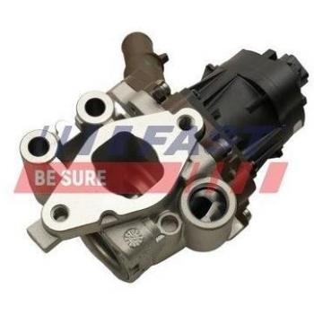 Valvola EGR ad alte prestazioni FAST FT60248